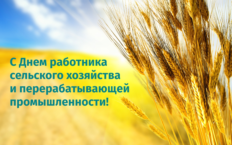 Поздравления с Днем работника сельского хозяйства и перерабатывающей промышленности